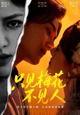 只见梅花不见人全集