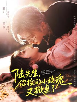 陆先生，你捡的小玫瑰又掀桌了全集