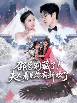 邵总别藏了！夫人看见你有新欢了全集