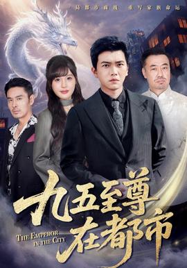 九五至尊在都市全集