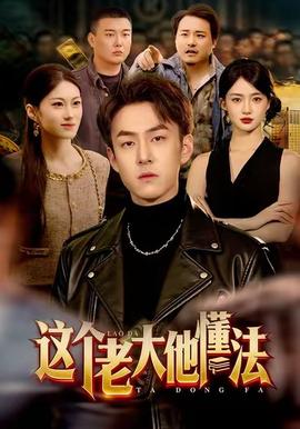 这个老大他懂法全集