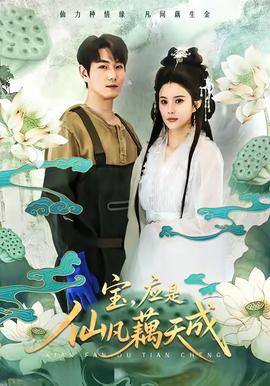 宝，应是仙凡藕天成全集