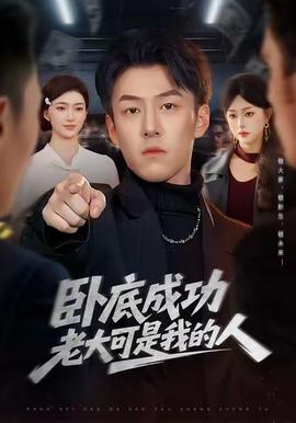 卧底成功老大可是我的人全集