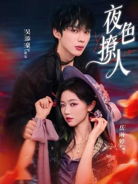 夜色撩人全集
