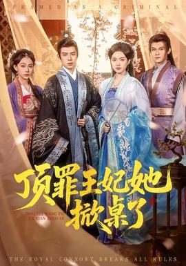 顶罪王妃她掀桌了全集