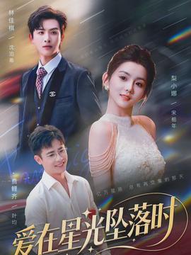 爱在星光坠落时全集