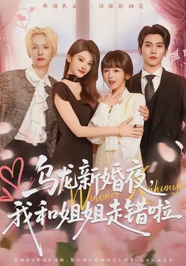 乌龙新婚夜，我和姐姐走错啦全集