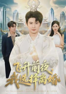 飞升前夜，我选择离婚全集