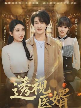 透视医婿全集