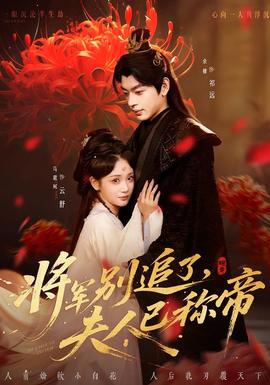 将军别追了，夫人已称帝全集