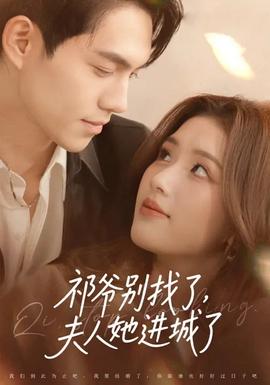 祁爷别找了，夫人她进城了全集
