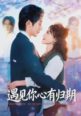 遇见你心有归期全集