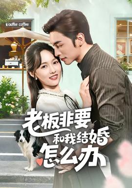 老板非要和我结婚怎么办全集