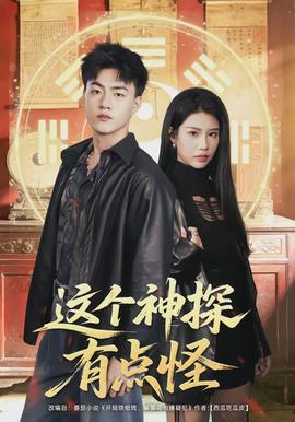 这个神探有点怪全集