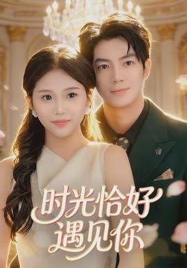 时光恰好遇见你全集