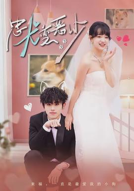 忠犬变恶少全集