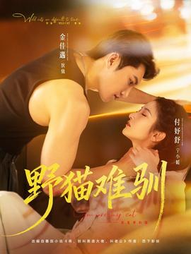 野猫难驯全集
