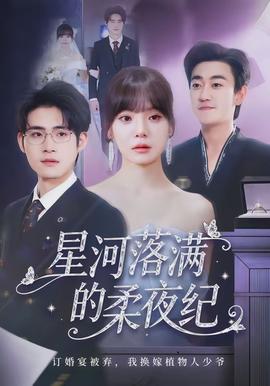 星河落满的柔夜纪全集