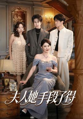 夫人她手段了得全集