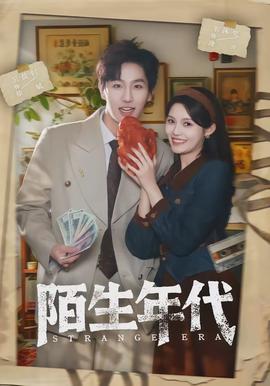 陌生年代全集