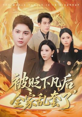 被贬下凡后全家乱套了全集