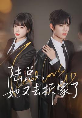 陆总，她又去拆家了全集