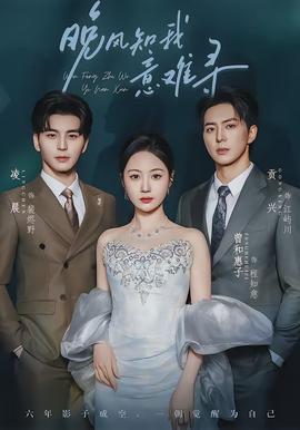 晚风知我意难寻全集