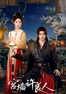 宫墙许良人全集