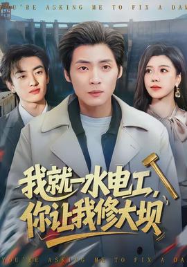 我就一水电工，你让我修大坝全集