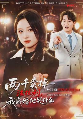 两千卖掉法拉利，我离婚他哭什么全集