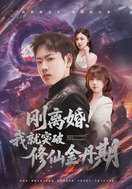 刚离婚！我就突破修仙金丹期全集