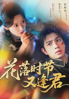 花落时节又逢君全集