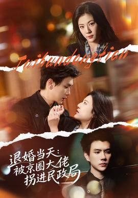 退婚当天：被京圈大佬拐进民政局全集