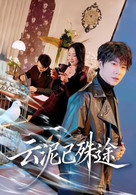 云泥已殊途全集