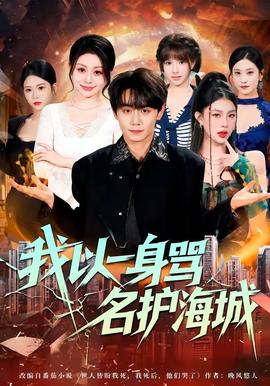 我以一身骂名护海城全集