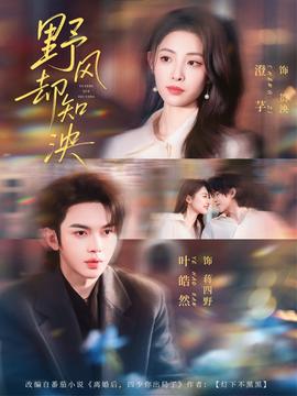 野风却知泱全集