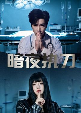 暗夜执刀全集