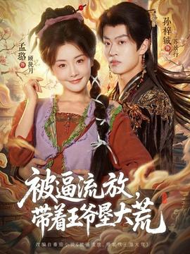 被逼流放，带着王爷垦大荒全集