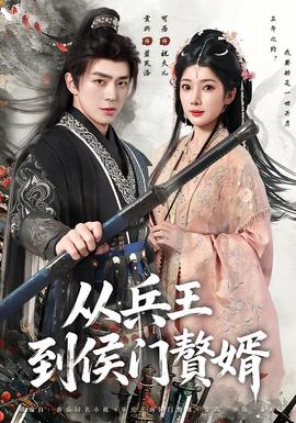 从兵王到侯门赘婿全集
