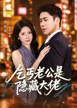 乞丐老公是隐藏大佬全集