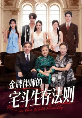 金牌律师的宅斗生存法则全集