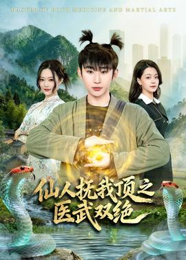 仙人抚我顶之医武双绝全集