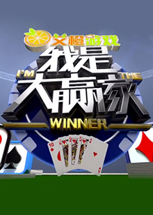 我是大赢家2016全集