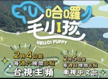 哈啰！毛小孩全集