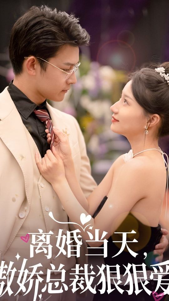 离婚当天，傲娇总裁狠狠爱全集