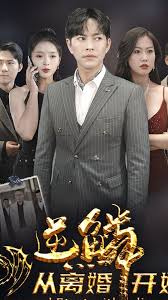 逆鳞从离婚开始全集