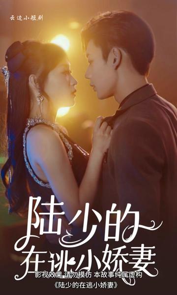 陆少的娇妻野翻了全集