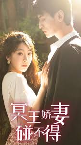 冥王娇妻惹不得全集