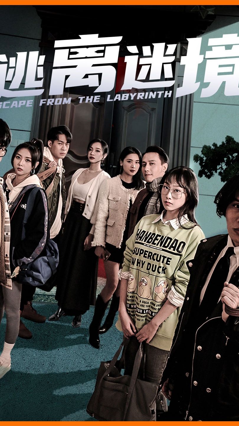 逃离迷境全集