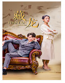 藏龙短剧版全集